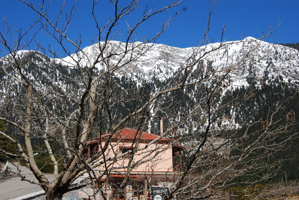 Dryades Guesthouse Ano Chora Exterior foto
